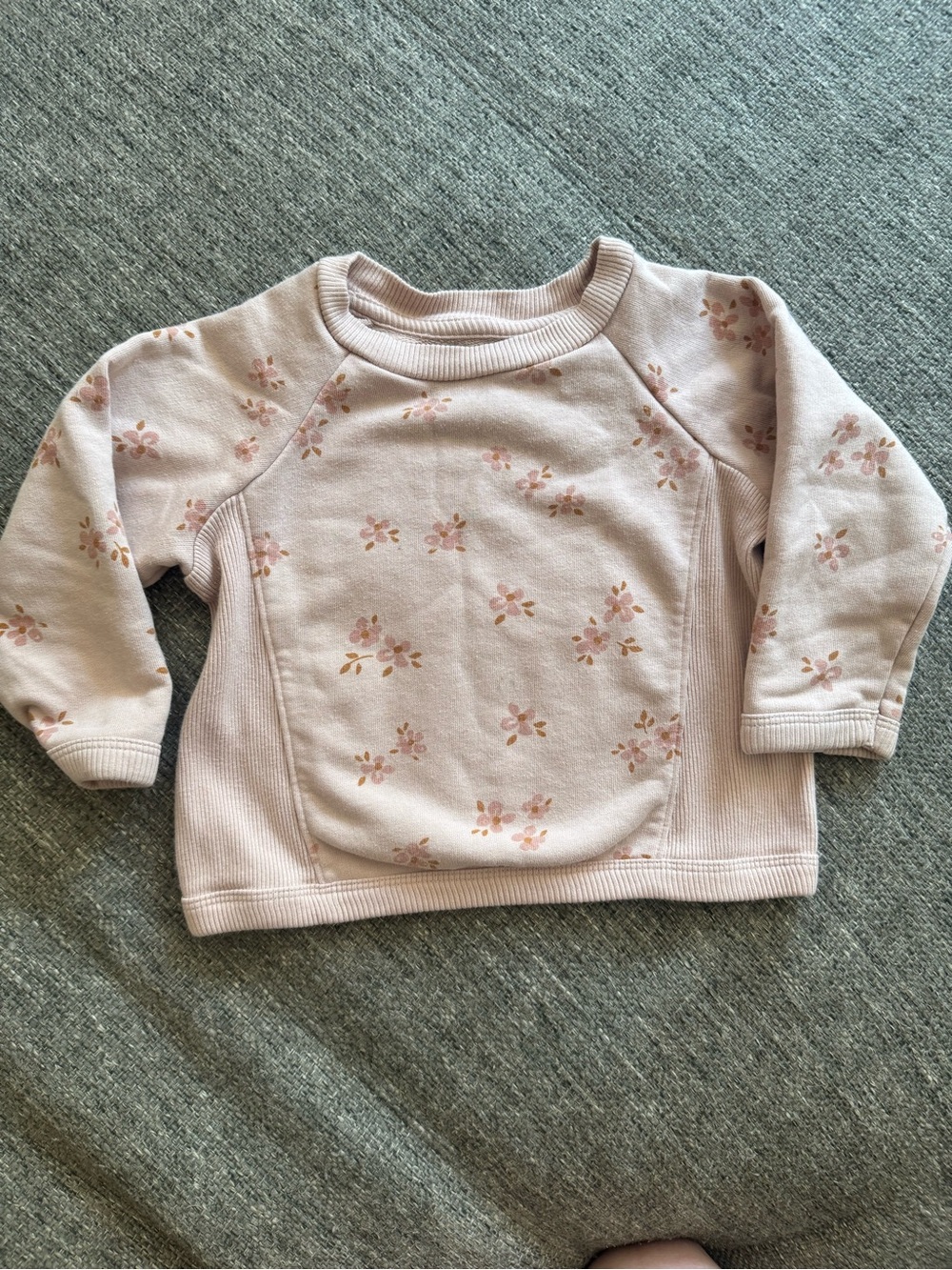 Easy Peasy Floral Organic Cotton French Terry Sweatshirt 18M